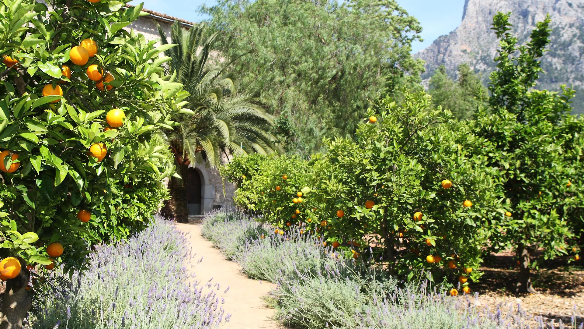 农家乐 Finca Ca'S Curial - Agroturismo - Adults Only 索列尔 西班牙