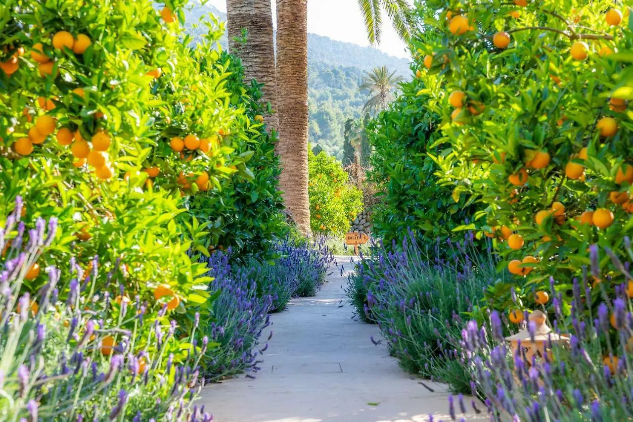 Finca Ca'S Curial - Agroturismo - Adults Only 索列尔 农家乐