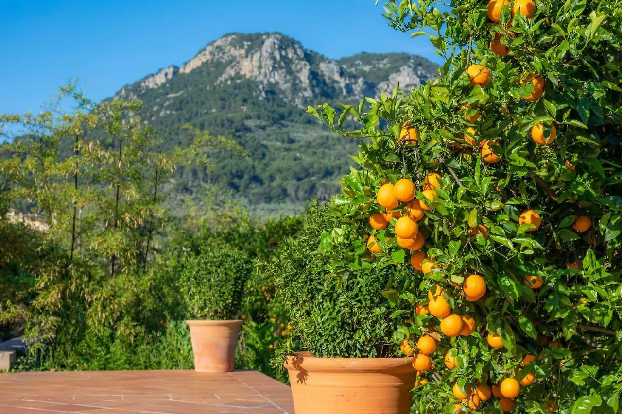 Finca Ca'S Curial - Agroturismo - Adults Only 索列尔 农家乐