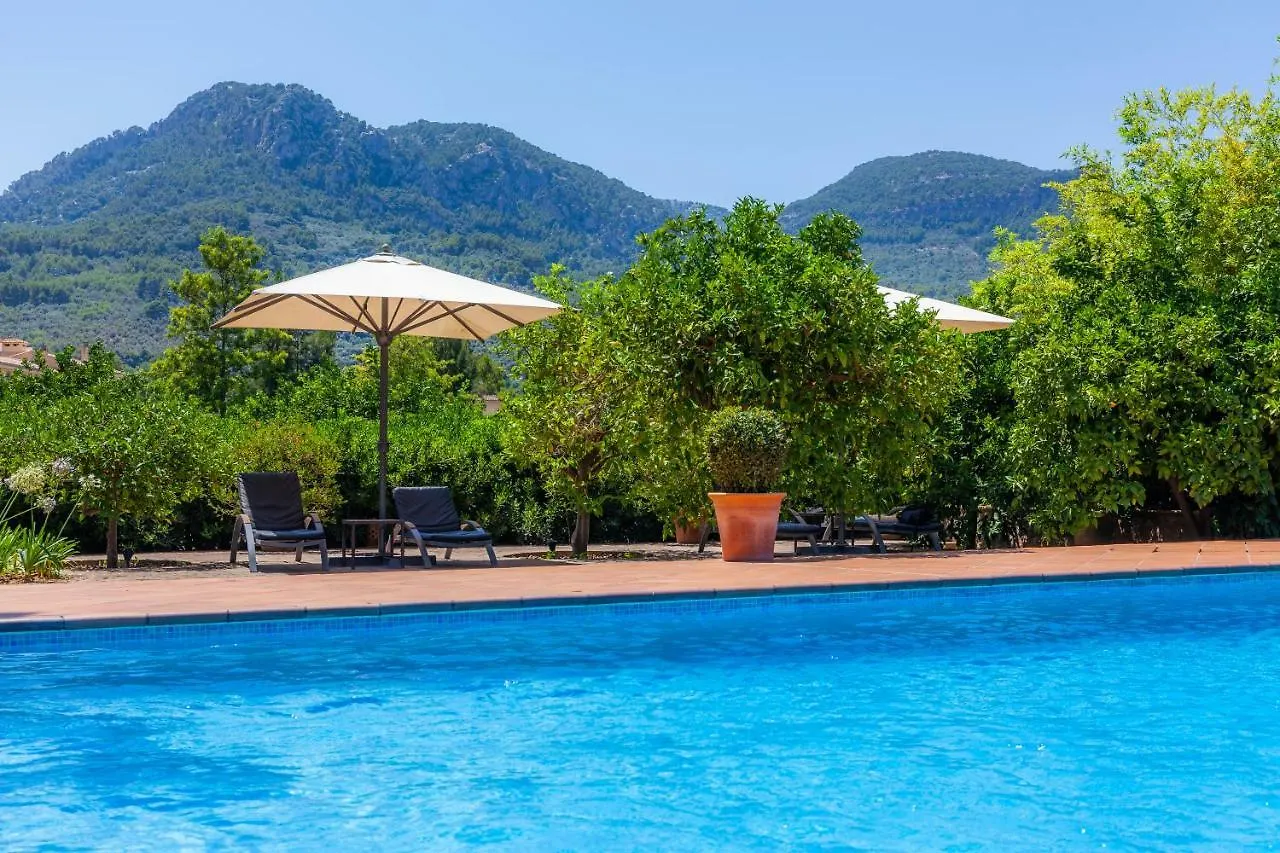 Finca Ca'S Curial - Agroturismo - Adults Only 索列尔