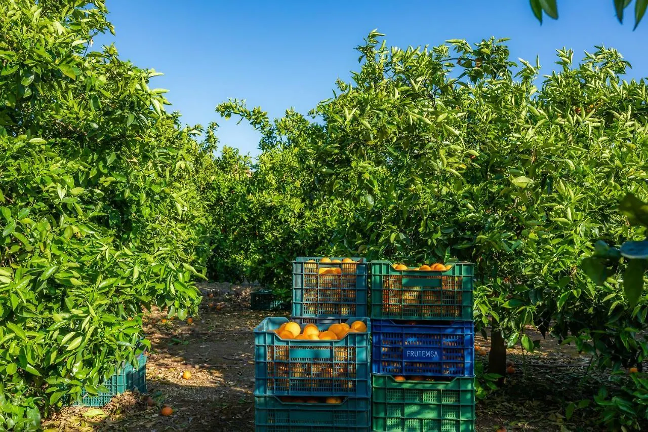 农家乐 Finca Ca'S Curial - Agroturismo - Adults Only 索列尔