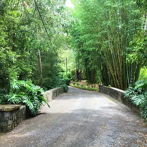 Mango Hill Farm Holiday home Peachester