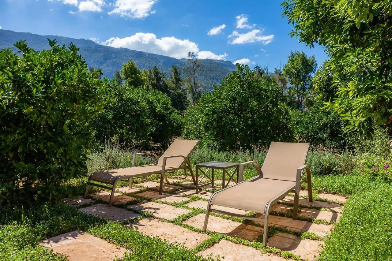 Finca Ca'S Curial - Agroturismo - Adults Only Soller Farm stay